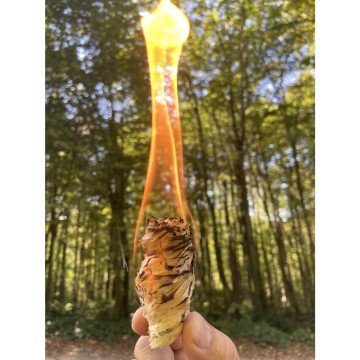 Bonga Odun Yünü Ateş Tutuşturucu 700 grm
