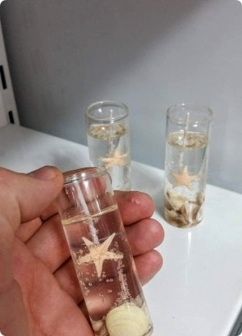 12 Li Deniz yıldızlı Tüp şişede jel mum
