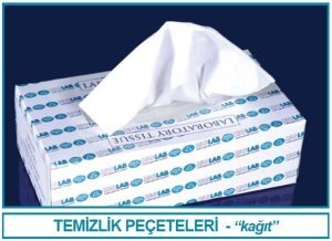 İsolab kağıt peçete (100 kağıt)