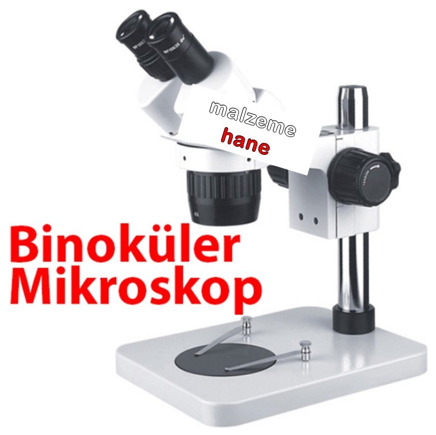 ST6024-B1 Binoküler Mikroskop