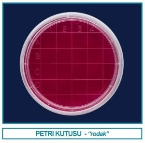 İsolab petri kutusu rodak - 60 mm (500 adet)