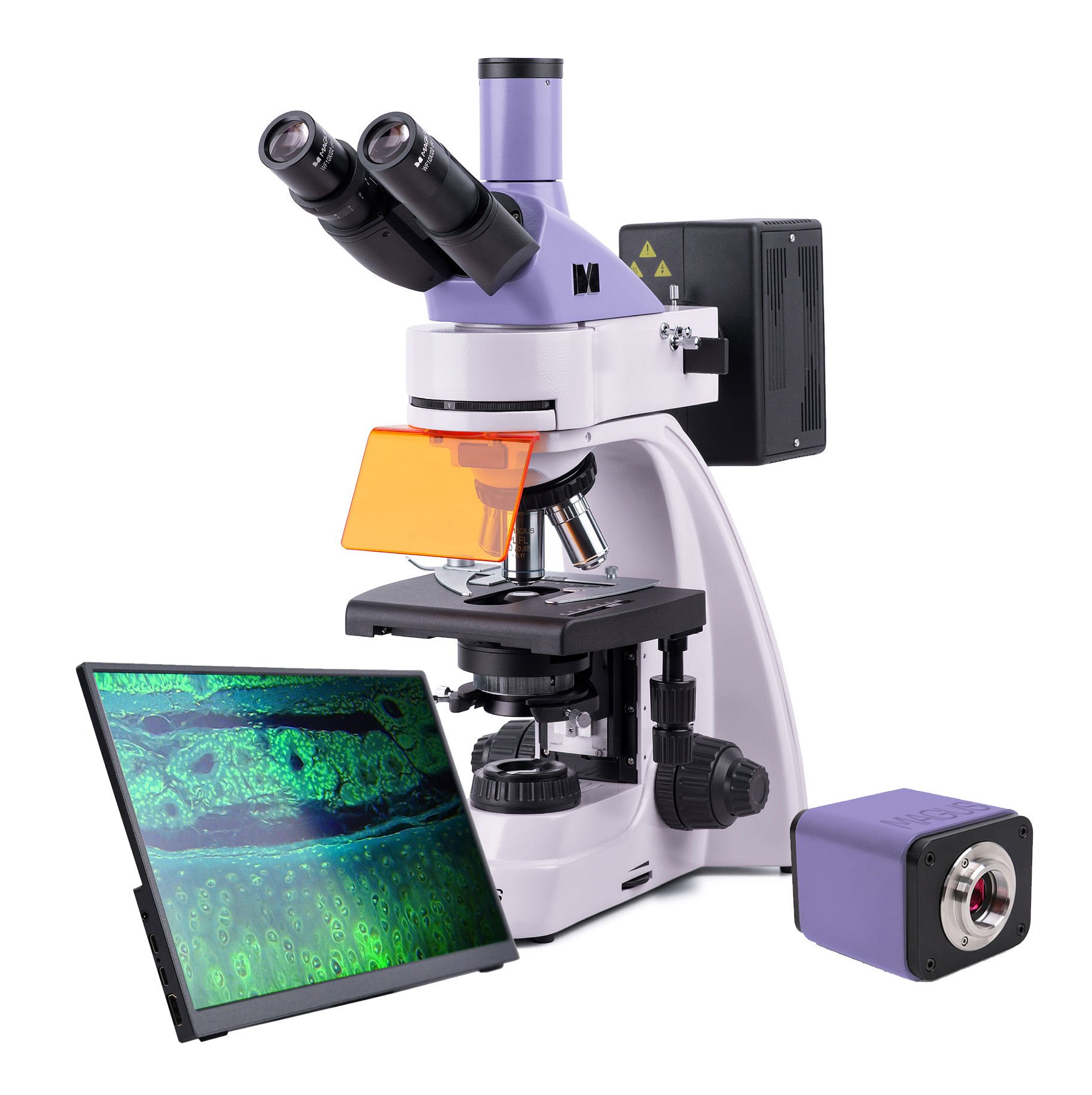 MAGUS Lum D400 LCD Floresan Dijital Mikroskop