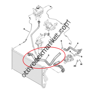Citroen Jumper (2015-2023) 2.0 Hdi Su Radyatörü Üst Çıkış Hortumu (Orijinal)