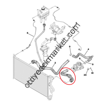 Citroen Jumper (2020-2023) 2.2 Hdi Su Radyatörü Üst Giriş Hortumu (Orijinal)
