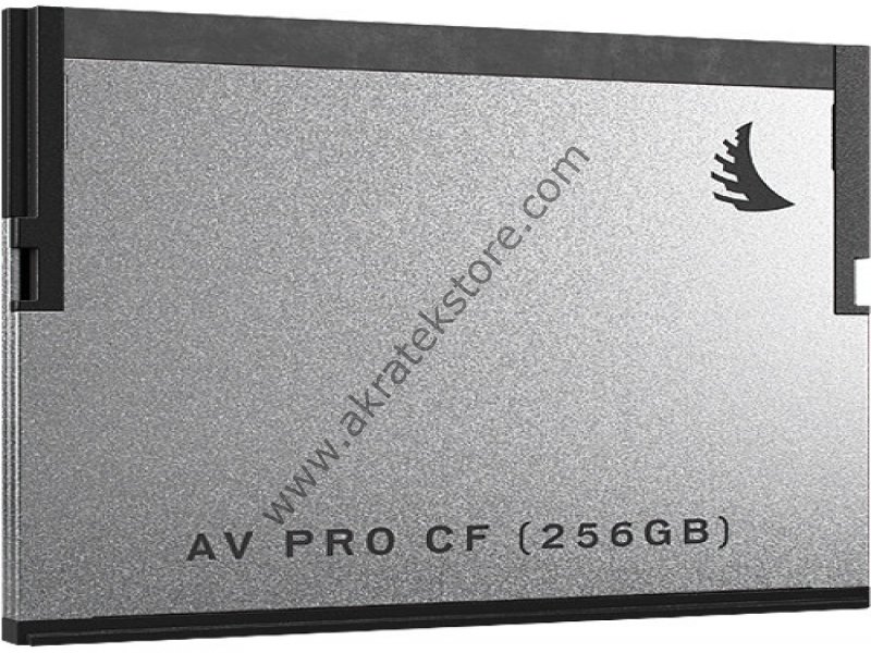 AVPRO CF 256 GB