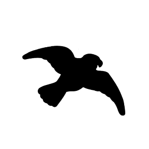 Repel Kuş Gölgesi Sticker (3'lü Paket)
