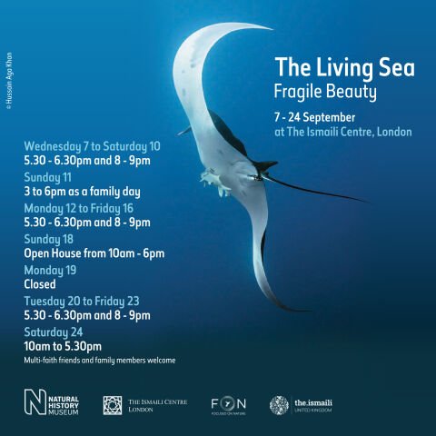 Hussain Aga Khan:The Living Sea