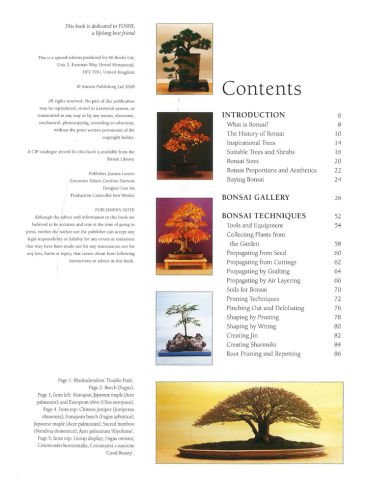 The Bonsai Handbook