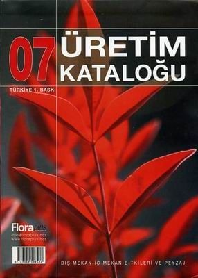 ÜRETİM KATALOĞU 2007-DIŞ İÇ MEKAN BİTKİLERİ