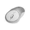 FRISBY FM-250WM 2.4GHZ 1600DPI KABLOSUZ MOUSE