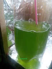 Yeşil Su (Bakteri Katkılı)