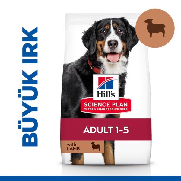 Hill's SCIENCE PLAN Kuzulu ve Pirinçli Büyük Irk Yetişkin Köpek Maması 12+2kg