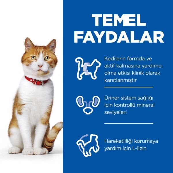 Hill's SCIENCE PLAN Ton Balıklı Kısırlaştırılmış Yetişkin Kedi Maması 8+2kg