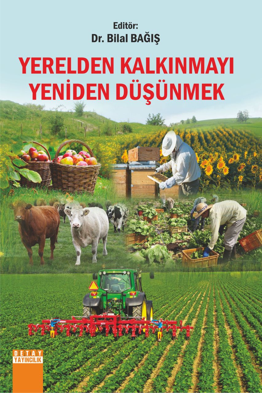 YERELDEN KALKINMAYI YENİDEN DÜŞÜNMEK