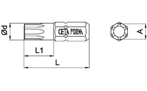 CETA FORM CB/813 Torx Bits Uç T45x35 mm