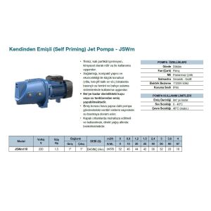 Grandfar JSWm110 Döküm Gövdeli Kendinden Emişli Jet Santrifüj Pompa 1.5Hp