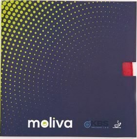 KBS MOLİVA