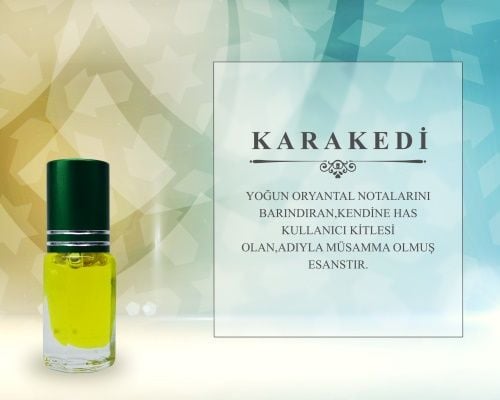 KARAKEDİ