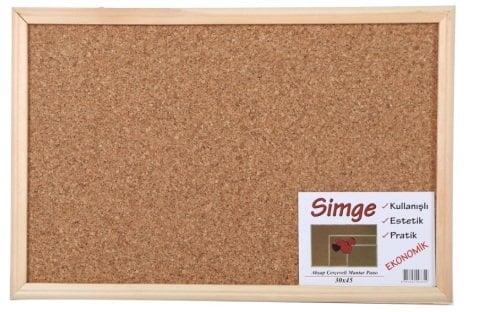 Simge Mantar Pano Ahşap Çerçeve 60x90