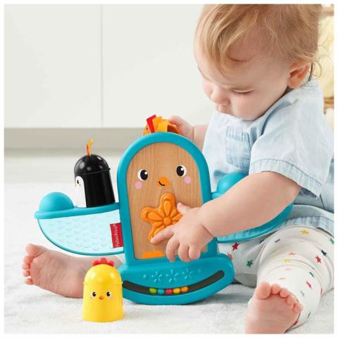 Fisher Price Sıralama ve Şekil Ayırma Oyuncakları Eğlenceli Kuş GJW26