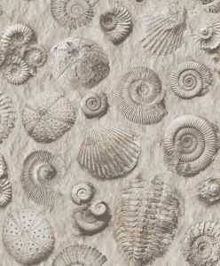 Replik deniz kabuğu duvar kağıdı J 862-09-desenli dokulu-kabartma-fon