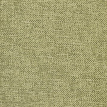 1623-8 Anka Duvar Kağıdı-düz-yeşil-renk