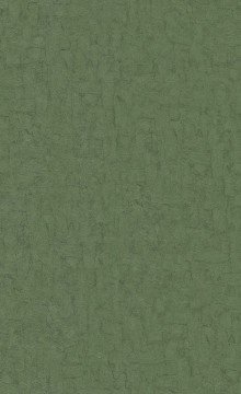 İthal Hollanda BN Van Gogh duvar kağıdı 220079-desensiz yeşil renkli-yüzeyi dokulu-doğaebilir. Non woven tabanlı,Rulo Ebatı: 10,05 x 0,53 m