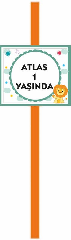 Aslan Temalı Kişiye Özel Pipet 1 6 Adet