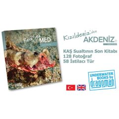 Kitap KIZILDENİZ'DEN AKDENİZ'E / MURAT DRAMAN