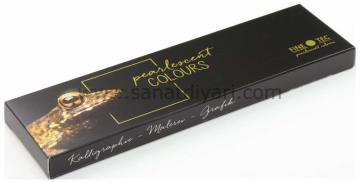 Finetec 6'lı Yaldız Sulu Boya Seti FO600