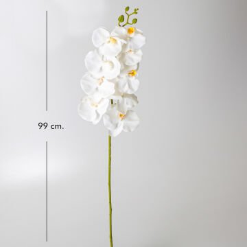 Yapay Orkide Beyaz 99 Cm.