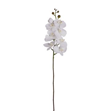 Yapay Orkide Gerçek Dokunuş Beyaz 104 Cm.