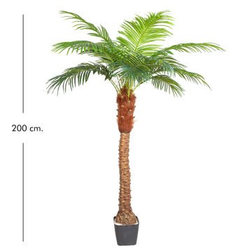 Yapay Phoenix Palmiye Ağacı Gerçek Dokulu 15 Yaprak 200 Cm.
