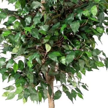 Yapay Ficus Ağacı Tek Gövde Yeşil 140 Cm.