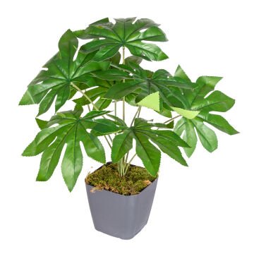 Saksı da Yapay Bitki Fatsia-Japon Çınarı Gerçek Dokulu 9 Yaprak Yeşil 48 Cm.