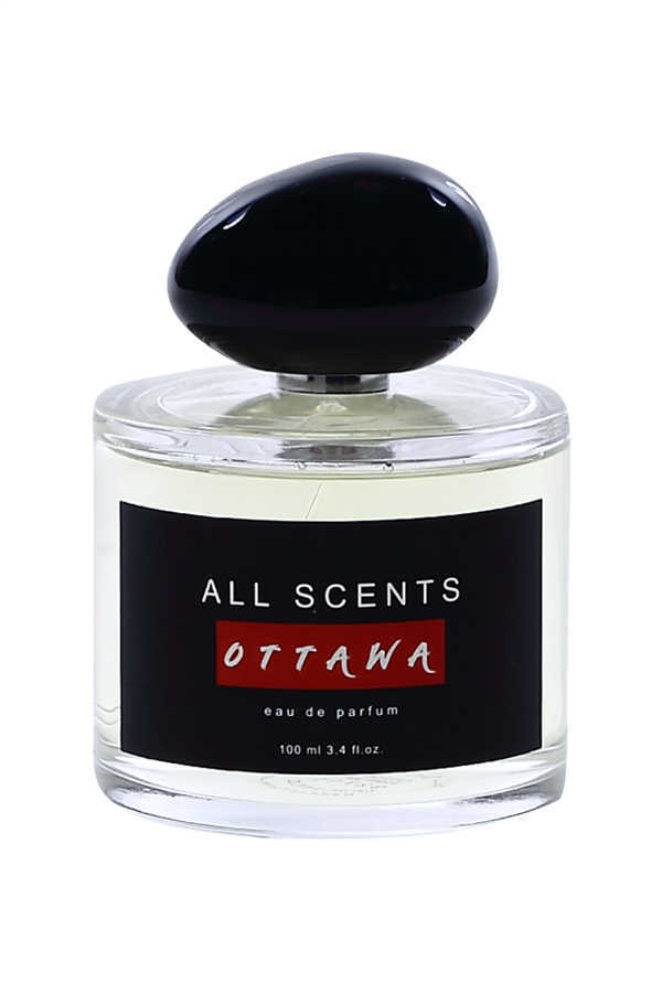 All Scents Ottawa Acqua Di Gio Edp 100 Ml Erkek Parfüm