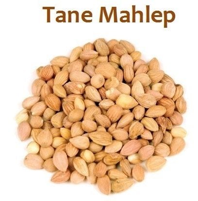 Tane Mahlep