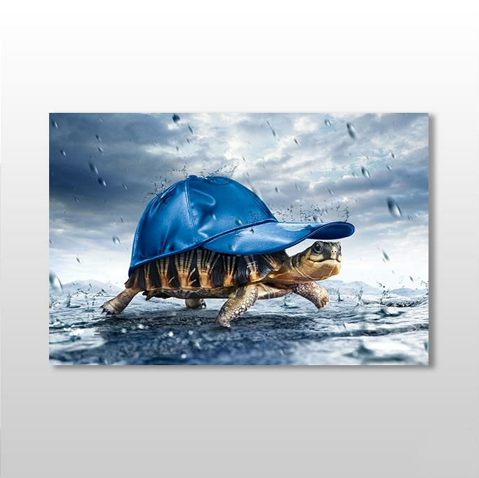 Kaplumbağa Kanvas Tablo
