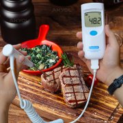 Hanna HI 9350011 'Foodcare' Ultra Hassas K-Tipi Termometre
