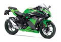 NINJA 300 (13 -)