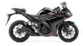 YZF R25 (15-)