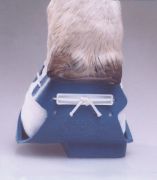 SHOOF Sığır Ayakkabısı. Sağ. Mavi. Large