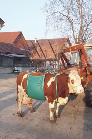 Kerbl Sığır Kaldırma Aparatı 1000 kg