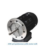 Gemaş Havuz Pompası Streamer Mini 1/3Hp 220 volt