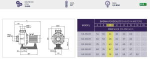 Kapra-KA 450.B T1 4.5Hp 380 V Ön Filtresiz Havuz Pompası