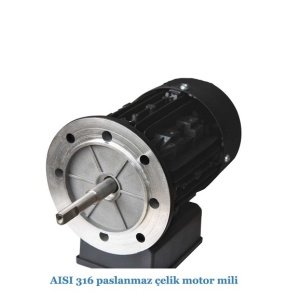 Pumpex-50M 0.50Hp 220 V Havuz Pompası