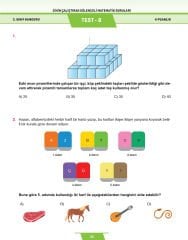 5.Sınıf Zihin Çalıştıran Eğlenceli Kanguru Matematik Soruları