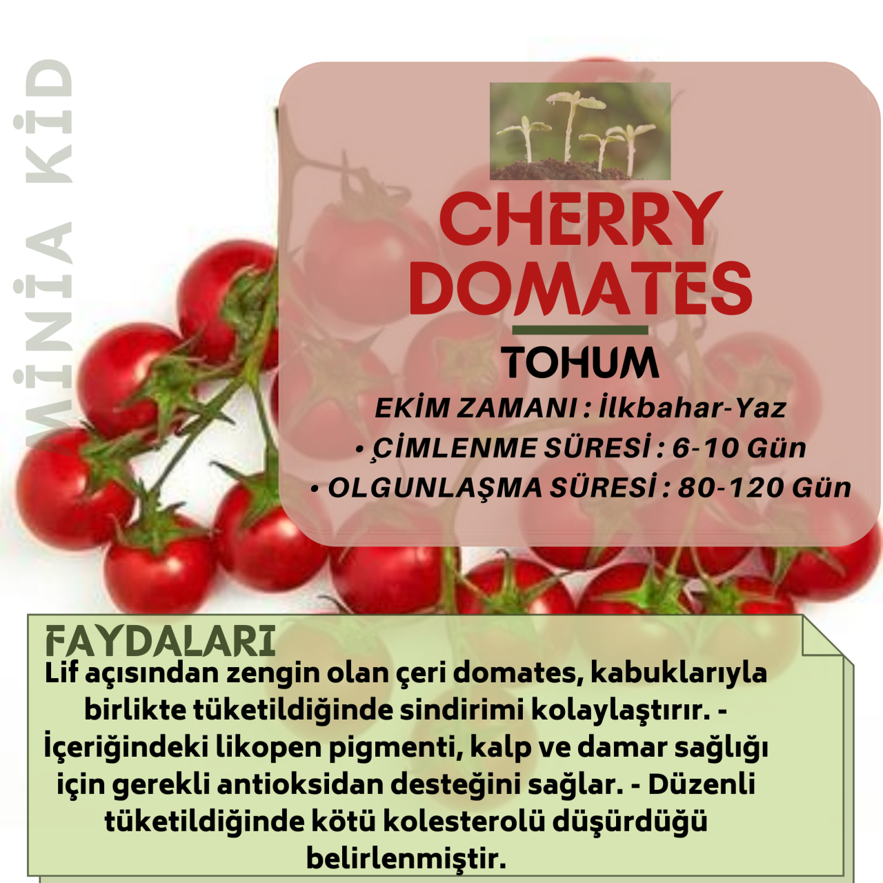 Cherry Domates Faydaları
