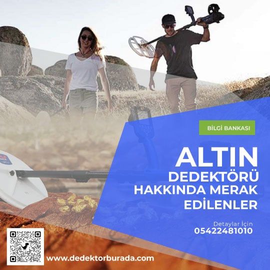 Altın Dedektörü