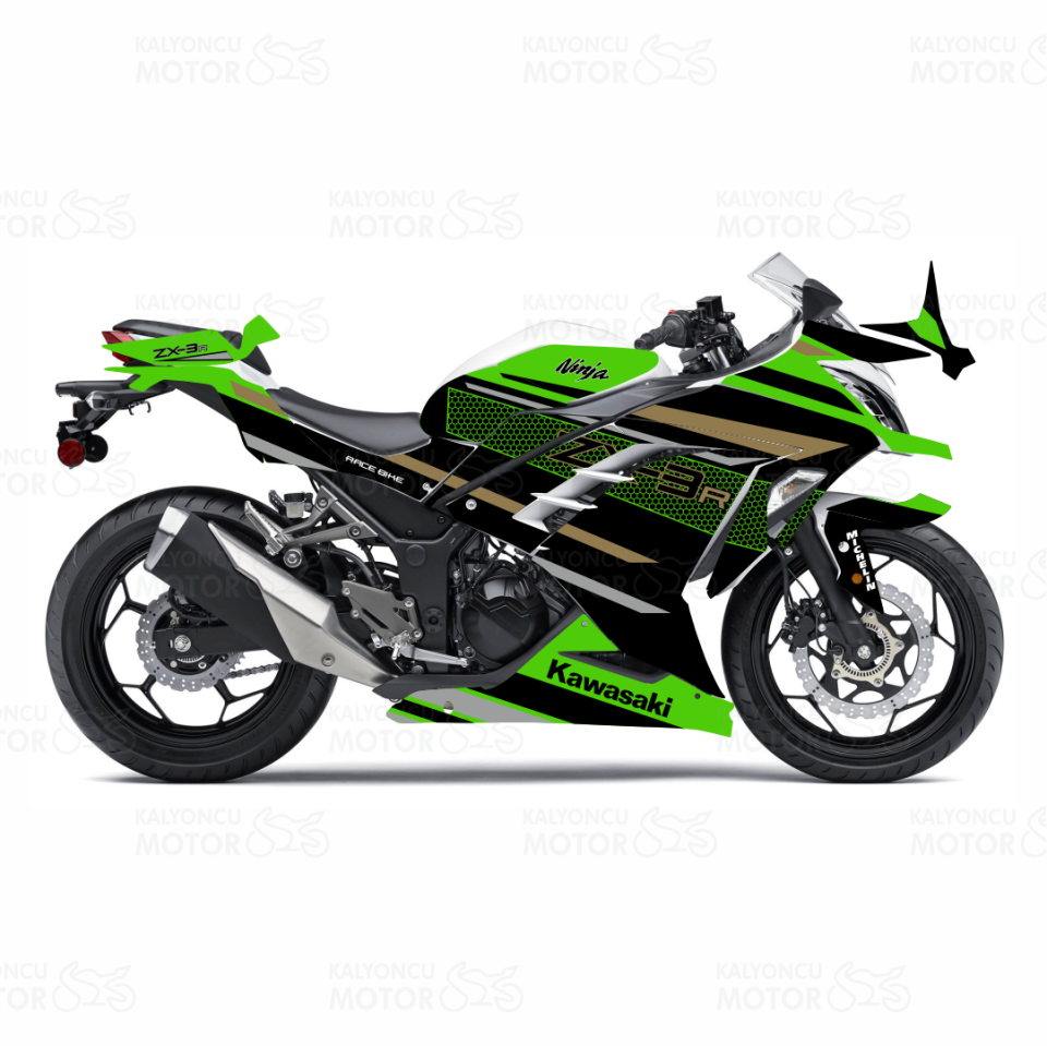 Kawasaki Ninja 300 ZX-3R Desing Sticker Set